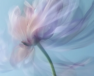 Pathways Squads put in strong impression